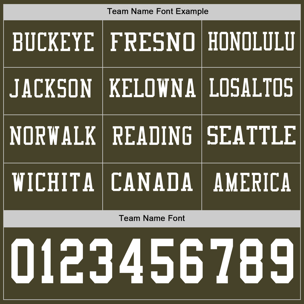 Custom Olive White Long Sleeve Salute To Service Authentic Football Jersey