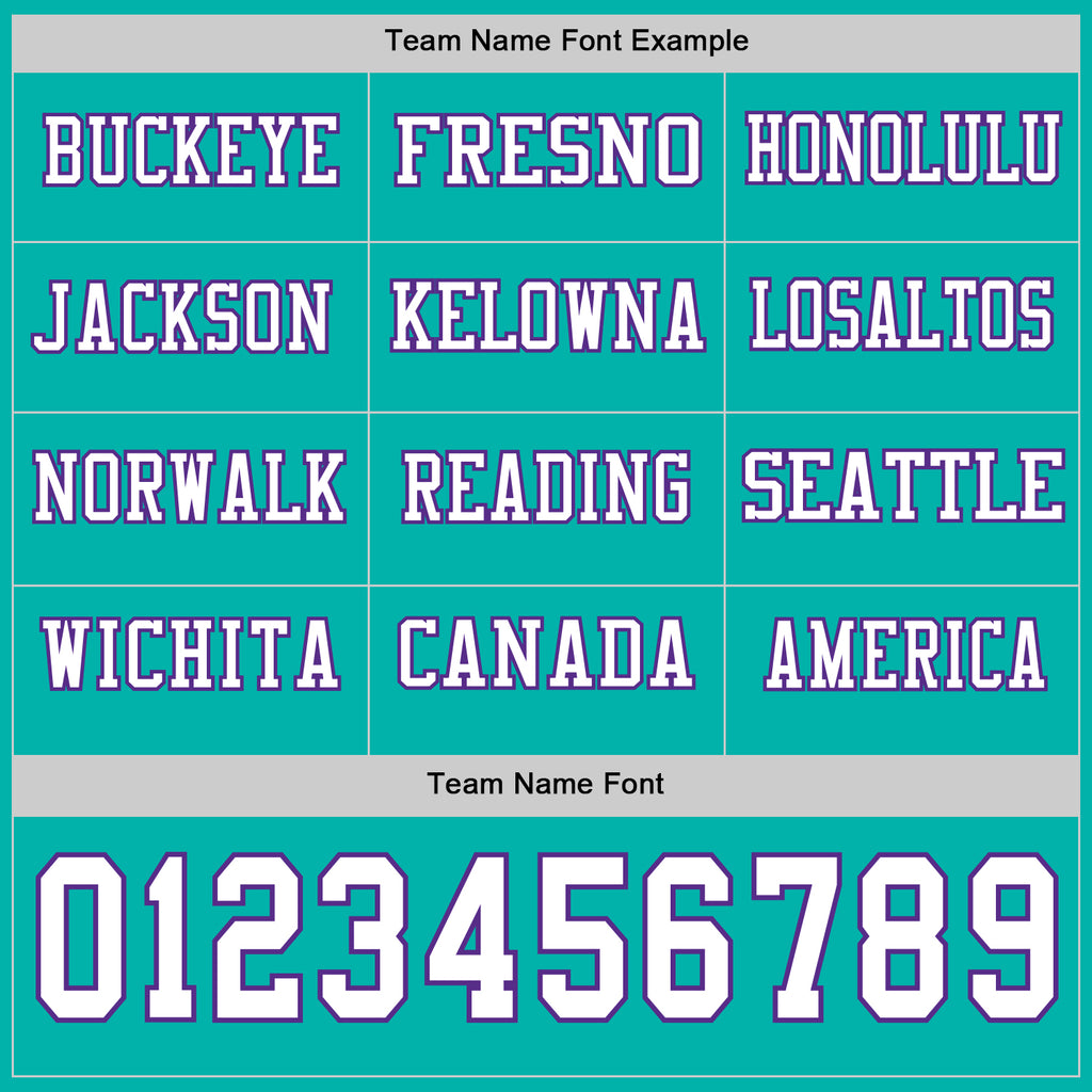 Custom Aqua White-Purple Long Sleeve Authentic Football Jersey